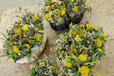 15.08.2025 Kräutersegnung zu Mariä Himmelfahrt